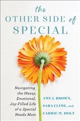Book cover of The Other Side of Special by Amy J Brown