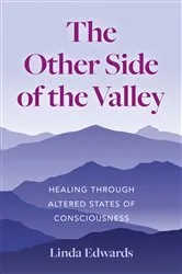 Book cover of The Other Side of the Valley by Linda Edwards