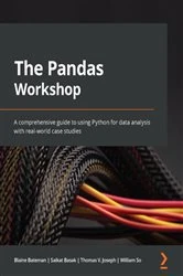 Book cover of The Pandas Workshop by Blaine Bateman