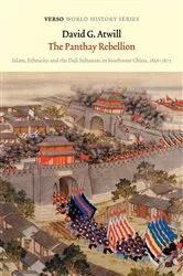 Book cover of The Panthay Rebellion by David G. Atwill