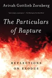 Book cover of The Particulars of Rapture by Avivah Gottlieb Zornberg