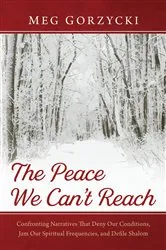 Book cover of The Peace We Can’t Reach by Meg Gorzycki