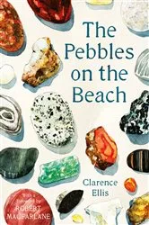 Book cover of The Pebbles on the Beach by Clarence Ellis