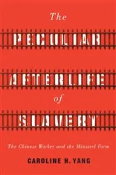 Book cover of The Peculiar Afterlife of Slavery by Caroline H. Yang