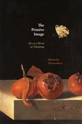 Book cover of The Pensive Image by Hanneke Grootenboer