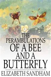 Book cover of The Perambulations of a Bee and a Butterfly by Elizabeth Sandham
