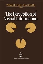 Book cover of The Perception of Visual Information by William Thomson