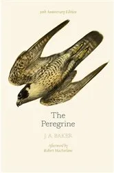 Book cover of The Peregrine: 50th Anniversary Edition by J. A. Baker
