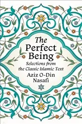 Book cover of The Perfect Being by Unknown