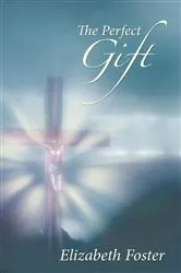 Book cover of The Perfect Gift by Schattner And Schattner