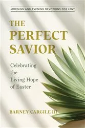 Book cover of The Perfect Savior by Barney Cargile III