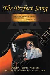 Book cover of The Perfect Song by Donna J. Bosn