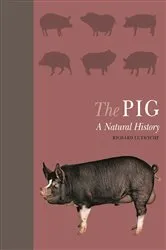 Book cover of The Pig by Richard Lutwyche