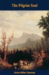 Book cover of The Pilgrim Soul by Unknown