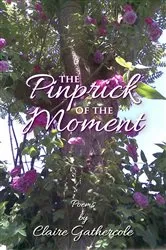 Book cover of The Pinprick of the Moment by Claire Gathercole