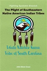 Book cover of The Plight of Southeastern Native American Indian Tribes by John Glenn Creel