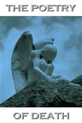 Book cover of The Poetry Of Death by Daniel Sheehan