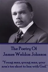 Book cover of The Poetry Of James Weldon Johnson by James   Weldon Johnson