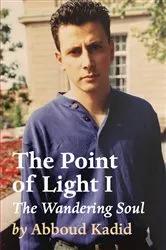 Book cover of The Point of Light I by Unknown