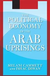 Book cover of The Political Economy of the Arab Uprisings by Unknown
