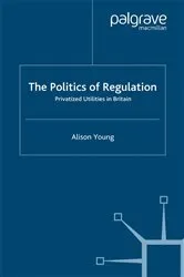 Book cover of The Politics of Regulation by A. Young