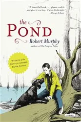 Book cover of The Pond by Robert Murphy