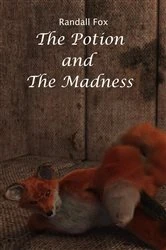 Book cover of The Potion and The Madness by Randall Fox
