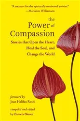 Book cover of The Power of Compassion by Pamela Bloom