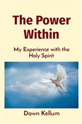 Book cover of The Power Within by Travis Boak