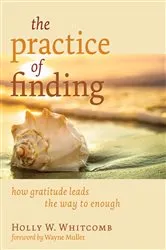 Book cover of The Practice of Finding by Holly W. Whitcomb