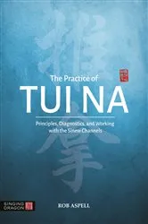 Book cover of The Practice of Tui Na by Unknown