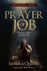 Book cover of The Prayer of JOB by Sandra Querin