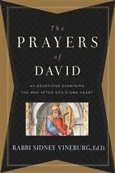 Book cover of The Prayers of David by Rabbi Sidney Vineburg