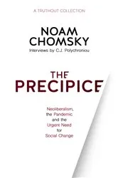 Book cover of The Precipice by Paul Doiron