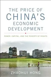 Book cover of The Price of China's Economic Development by Zhaohui Hong