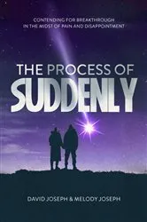 Book cover of The Process of Suddenly by Unknown