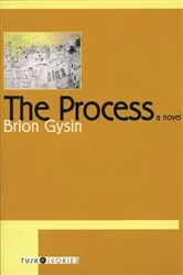 Book cover of The Process by Judith Wilde
