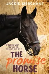 Book cover of The Promise Horse by Jackie Merchant