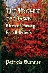 Book cover of The Promise of Dawn by Jeffrey J. Richards