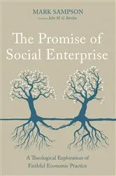 Book cover of The Promise of Social Enterprise by Mark Sampson