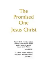 Book cover of The Promised One by E. Allen Griffith