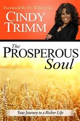Book cover of The Prosperous Soul by Cindy Trimm