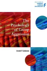 Book cover of The Psychology of Group Aggression by Arnold P. Goldstein