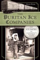 Book cover of The Puritan Ice Companies by David Petry