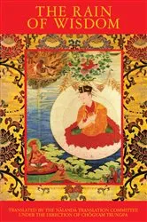 Book cover of The Rain of Wisdom by Nalanda Translation Committee