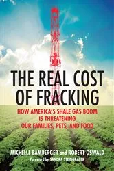 Book cover of The Real Cost of Fracking by Michelle Bamberger