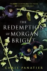 Book cover of The Redemption of Morgan Bright by Chris Panatier