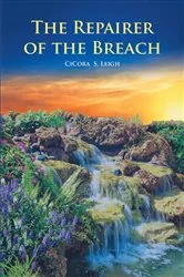 Book cover of The Repairer of the Breach by CiCora S. Leigh