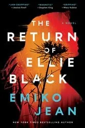 Book cover of The Return of Ellie Black by Emiko Jean