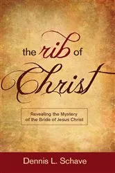 Book cover of The Rib of Chist by Dennis Schave